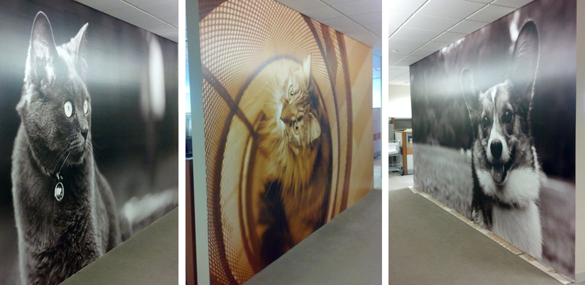 Environmental & Wall Graphics